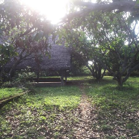 Art Forest Hotel Auroville Exterior foto